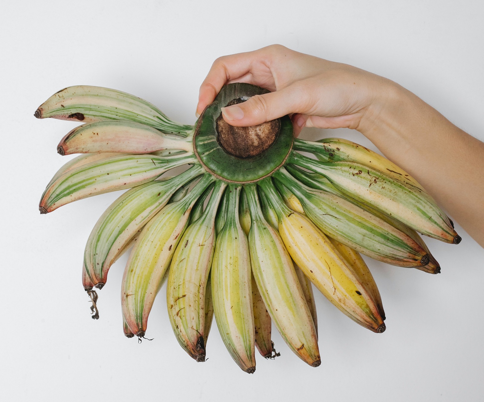Banana for beauty. We suggest how to use this fruit yourself to create great cosmetics